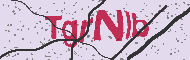 Güvenlik Kodu