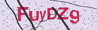 Güvenlik Kodu